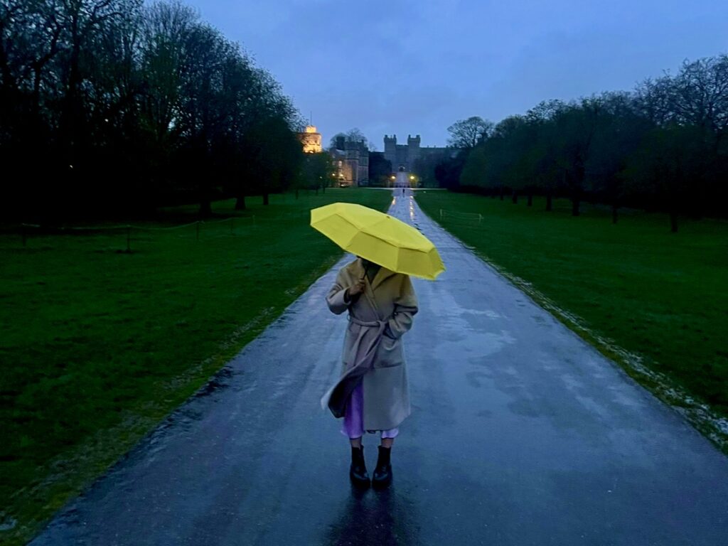 Windsor Long Walk in the rain